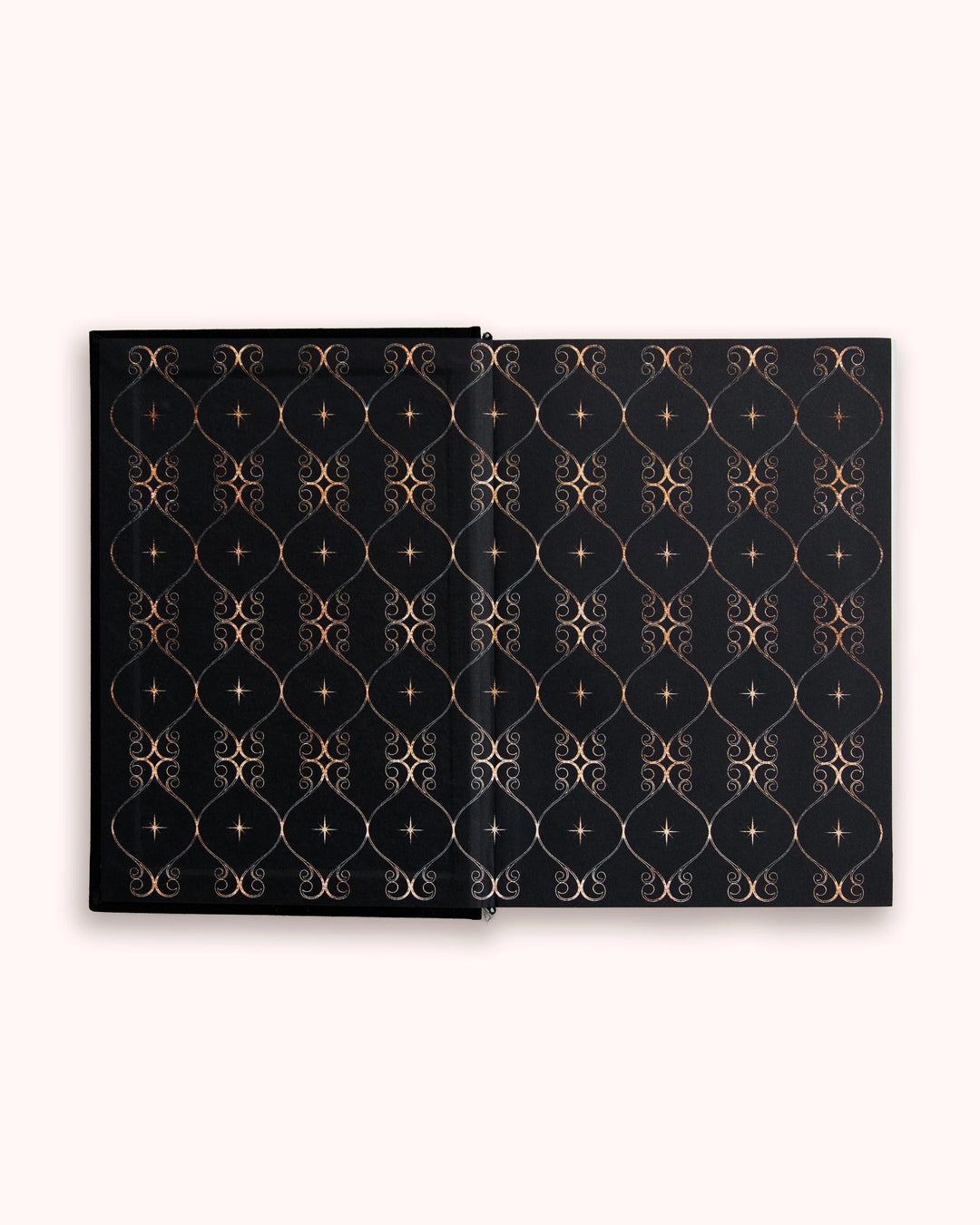 2026 Daily Planner (Rose)