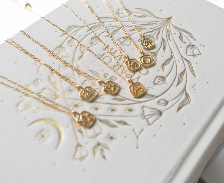 Dainty Zodiac Necklace