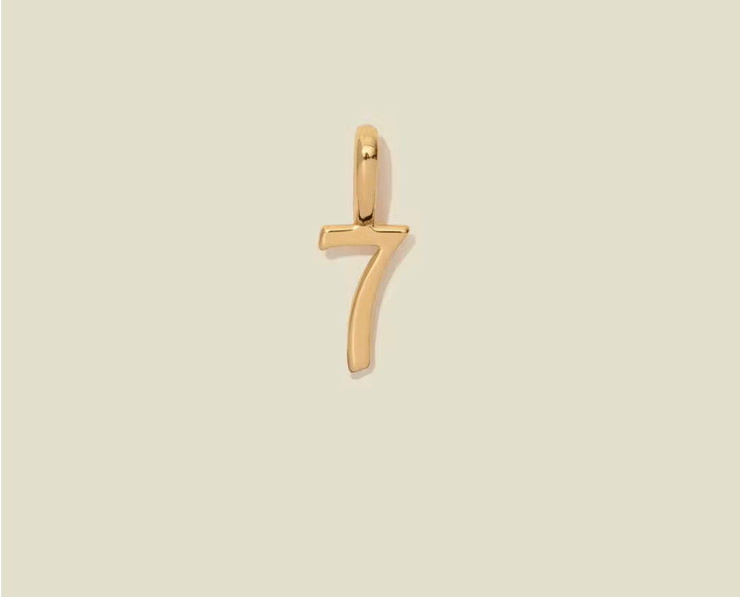 SOUL - Numerology Necklace - House of IntentionO ChainNone